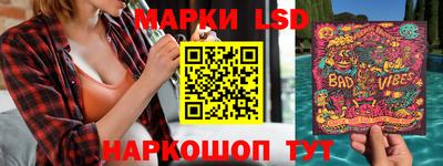 мдпв Кингисепп