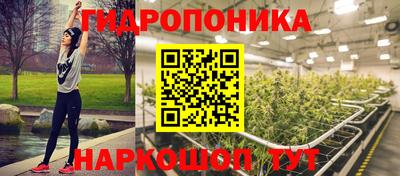 мдпв Кингисепп