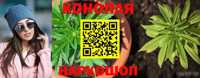 гидра Кинель