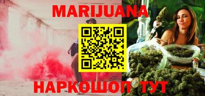 мдпв Кингисепп