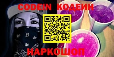 мдпв Кингисепп